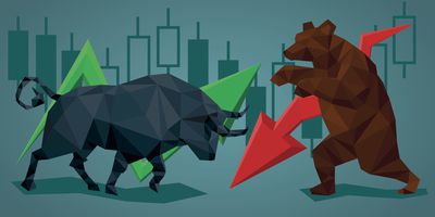 Bull & Bear Photo